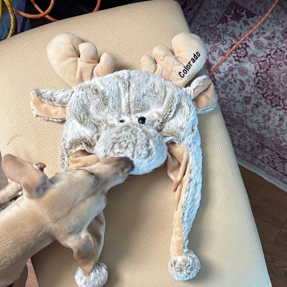 Cute Moose Plush Hat with Ear Flaps